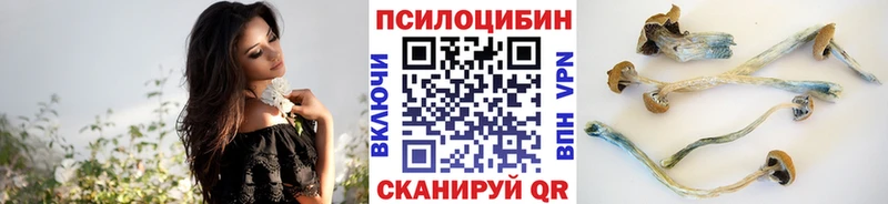 Галлюциногенные грибы Magic Shrooms  МЕГА зеркало  Яровое 